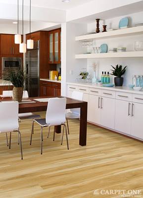 harry-katz-carpet-one-floor-home-mineloa-ny-testimonials-lvt-kitchen